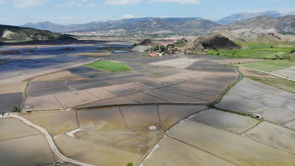 Die Reise des ‘weißen Goldes’ auf die Tische hat begonnen
