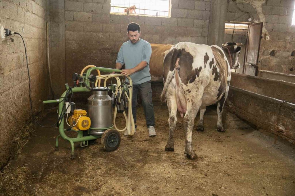 Die Stadtverwaltung von Mersin unterstützt Milchproduzenten.