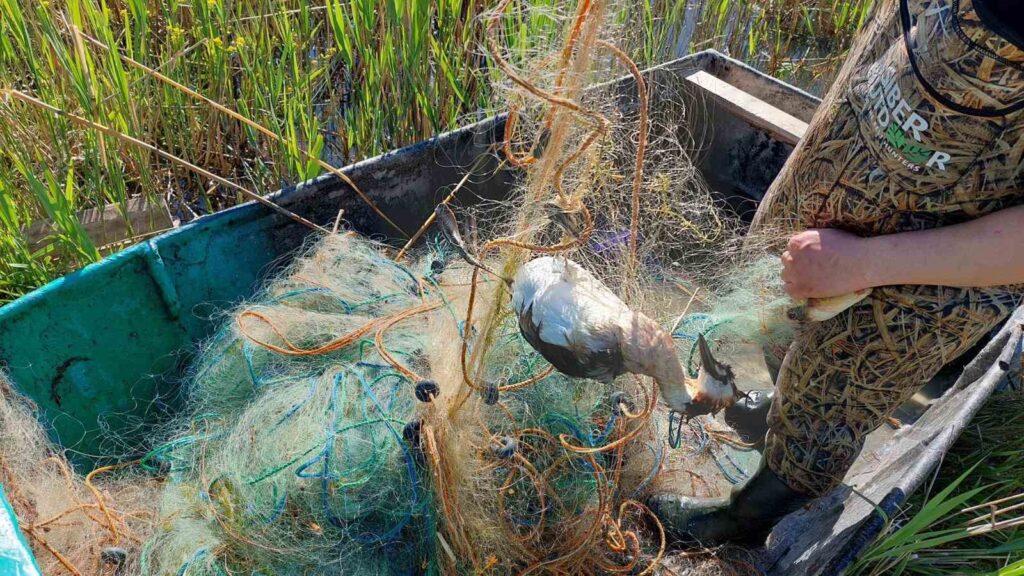 Im Beyşehir-See wurden illegale Fischereiaktivitäten bestraft.