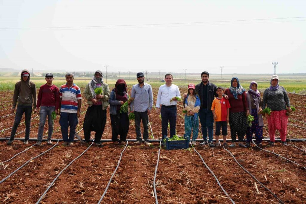 Landwirte aus Kilis setzen am 1. Mai die Produktion fort.