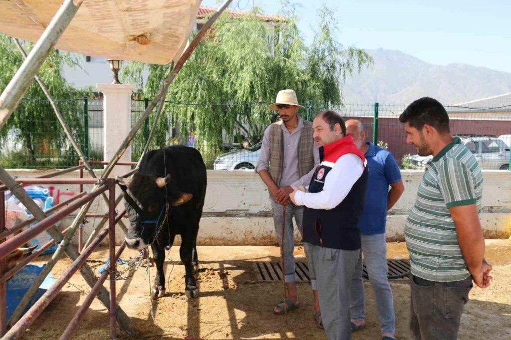 Die Kontrollen auf dem Tiermarkt in Erzincan gehen weiter.