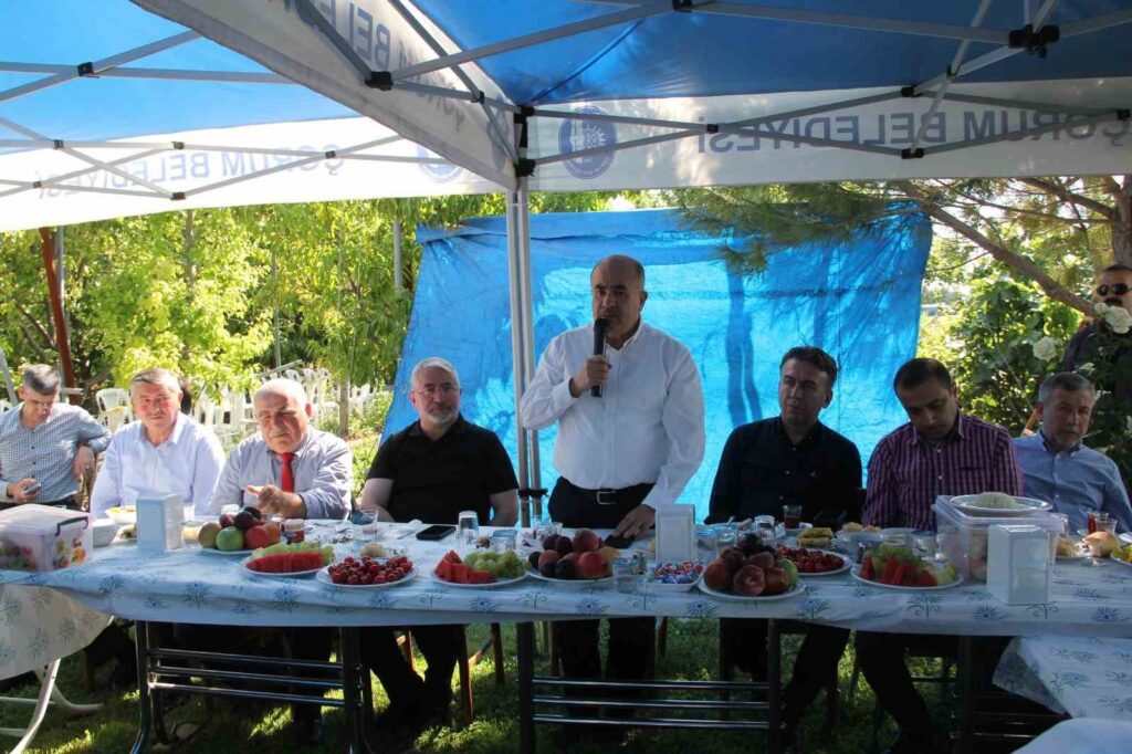 Die Tradition, die die großen Platanen verbindet