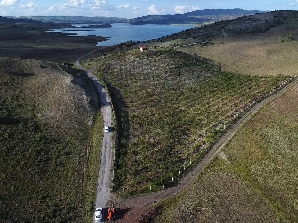 Er hat das trockene Ackerland in ein Mandelhain umgewandelt und dadurch sein Einkommen erhöht