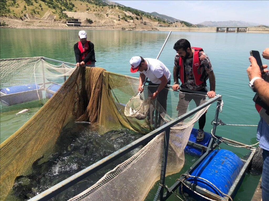 Im Rahmen des Projekts produzierte die Universität Şırnak 25,5 Tonnen Fisch
