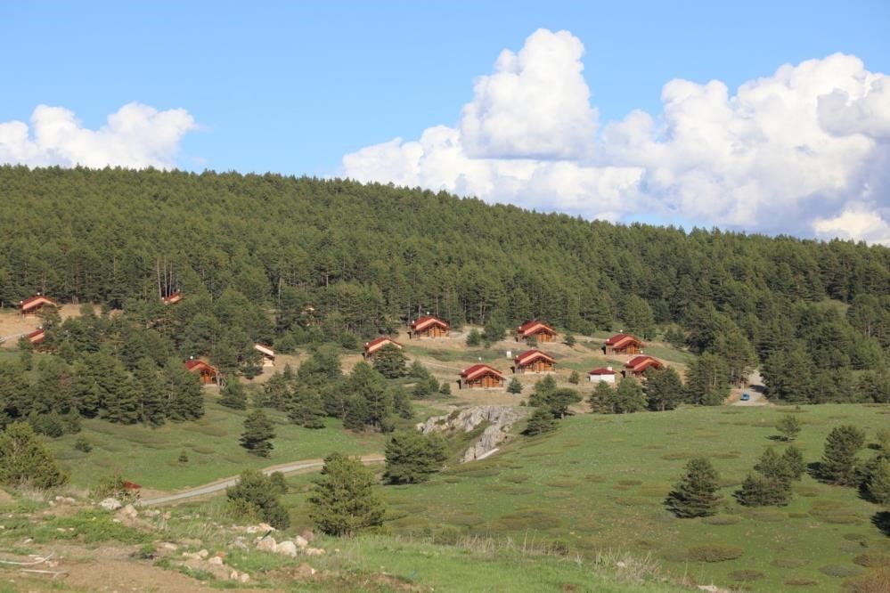 Erzincans grünes Paradies: Dumanlı Naturpark