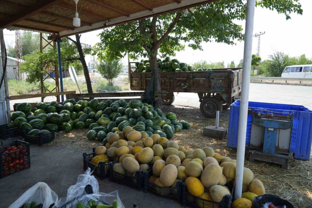 Gemüse und Obst werden aus dem Çukurova des Ostens in die umliegenden Provinzen verkauft.