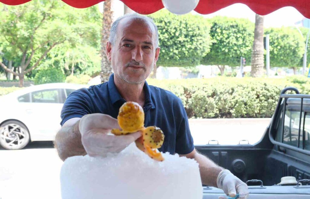 In Adana erfrischen sich die Bürger, indem sie Feigen mit Stacheln essen.