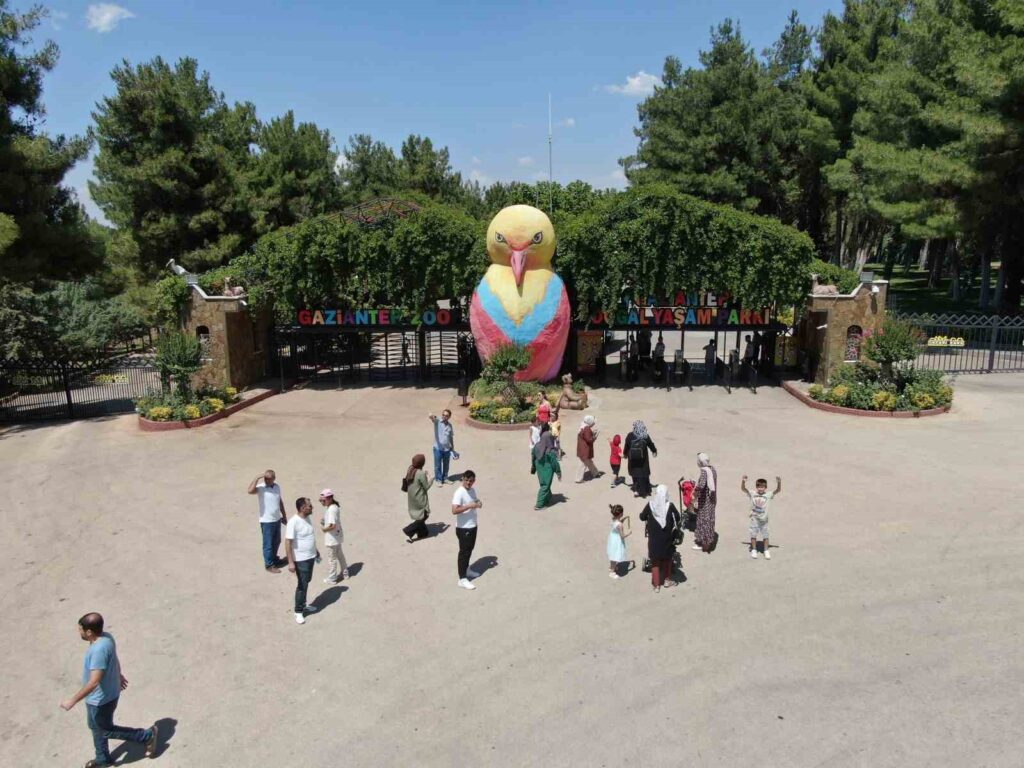 In der brütenden Hitze kühlen sich Tiere mit eisgekühlten Cocktails ab.