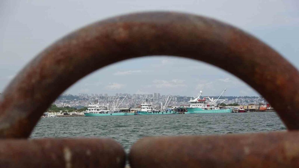 Die Sorgen der Fischer über die „Sardinenquote“: “Wird mit Gold konkurrieren”