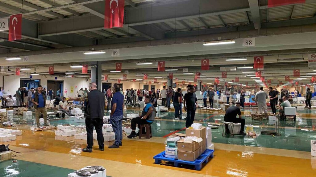 Das Fangverbot ist beendet, die ersten Fische der Saison wurden in Istanbul gefangen.
