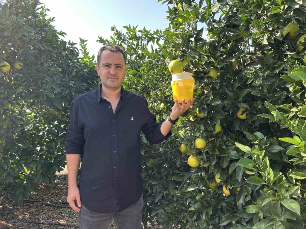 Der Kampf gegen die Mediterrane Fruchtfliege geht in der Zitrusproduktionsregion der Türkei weiter.
