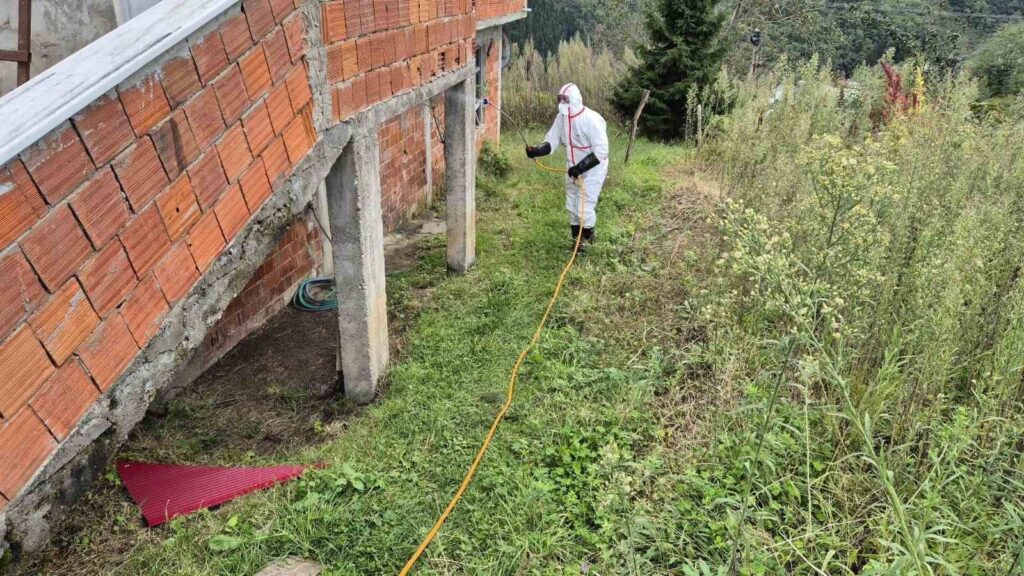 In der größten Gemeinde des östlichen Schwarzen Meeres, Ortahisar, wurde eine Bekämpfungsoffensive gegen die braune Stinkwanze gestartet.