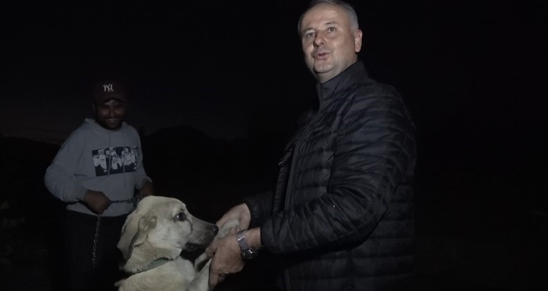 In Alanya, Avocado is protected by barbed wire and shepherd dogs.