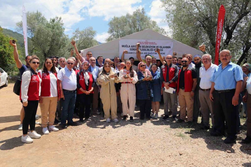 Distribución de reinas de abejas reina reproductoras a los apicultores de Muğla