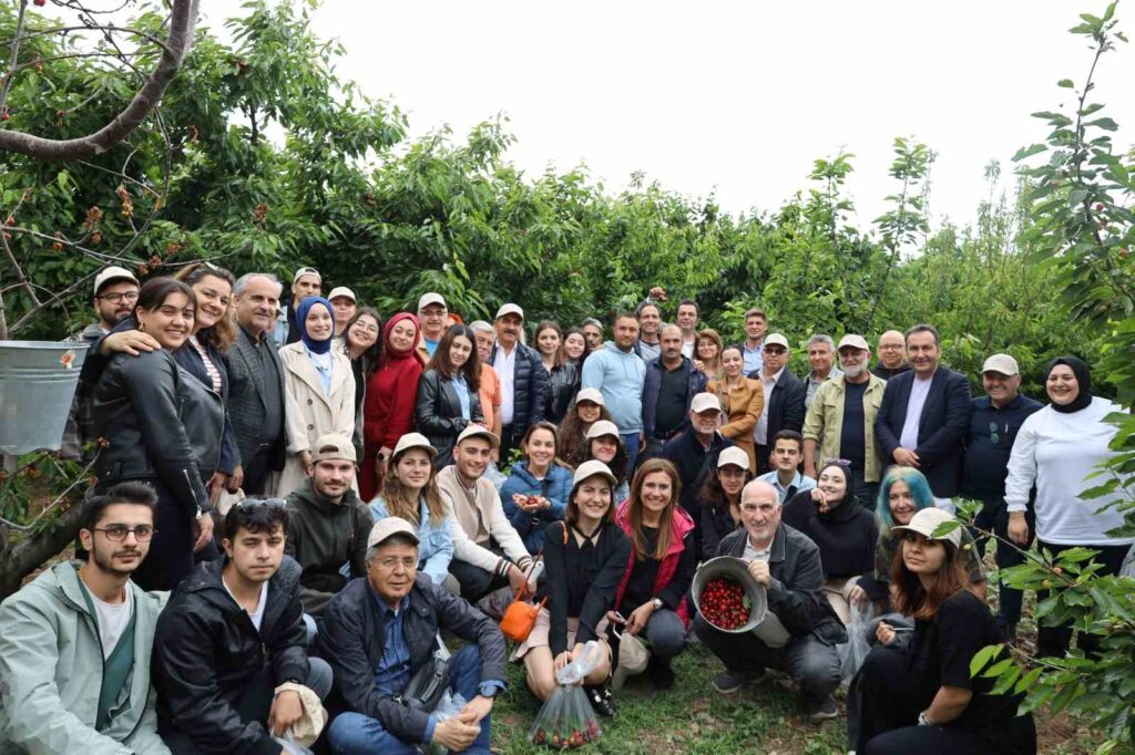 Festival de la Cosecha de Cerezas y Exportación de Cerezas del Egeo