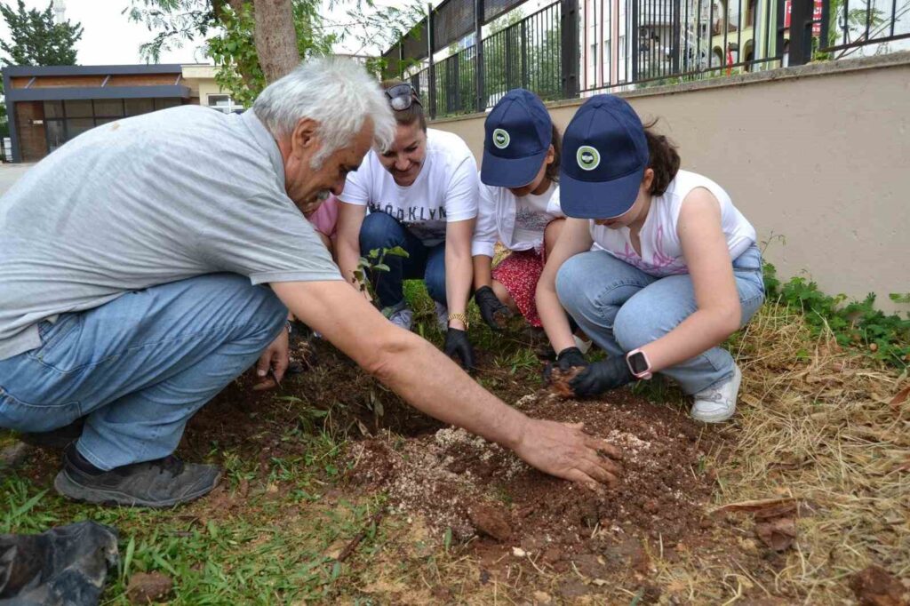 Las esperanzas brotarán en el invernadero de la escuela