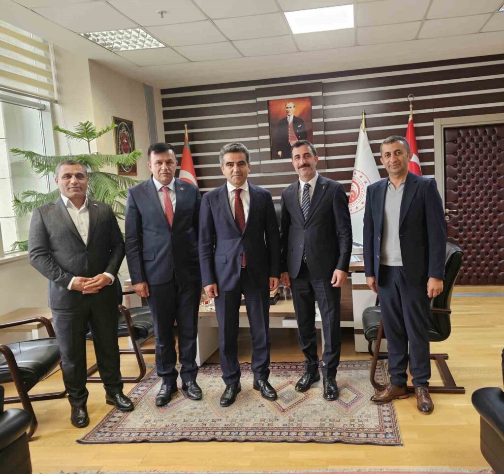 Llevaron los problemas y dificultades de Hakkari y sus distritos a Ankara