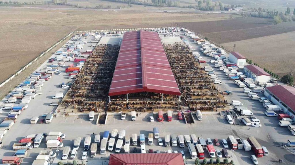 En el mercado de animales de Çorum, comenzaron las horas extras de festividad