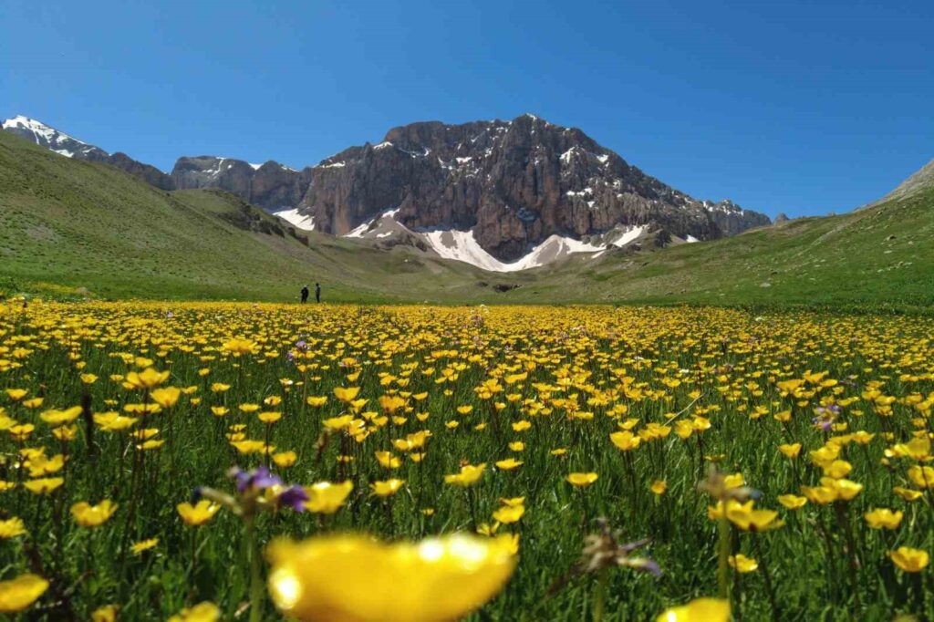 Los Alpes suizos no son, sino la meseta de Merg en la montaña Munzur