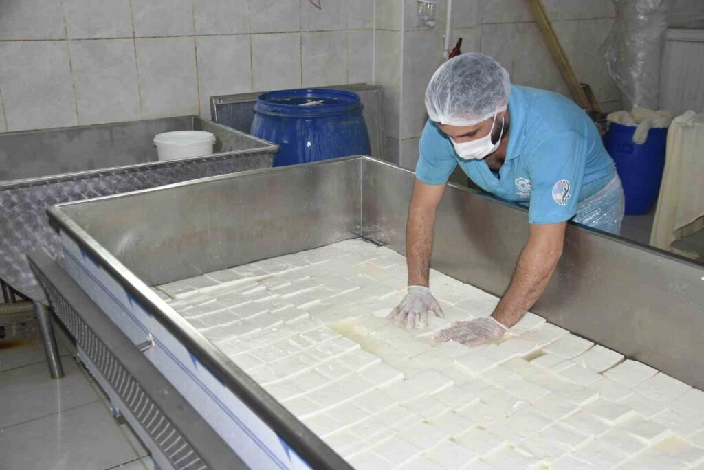 En la fábrica establecida con un apoyo de subvención del 50%, se producen productos lácteos.