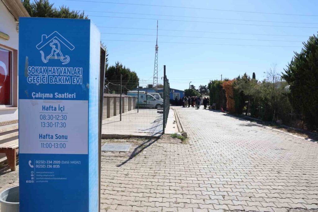 Resulta que el perro que se decía “muerto” en el refugio en realidad estaba durmiendo: “Es despreciable”