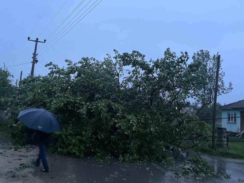 À Düzce, des pluies violentes et des vents forts ont eu lieu