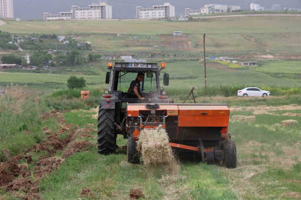 Jeune agriculteur qui mène sa vie en travaillant et en lisant