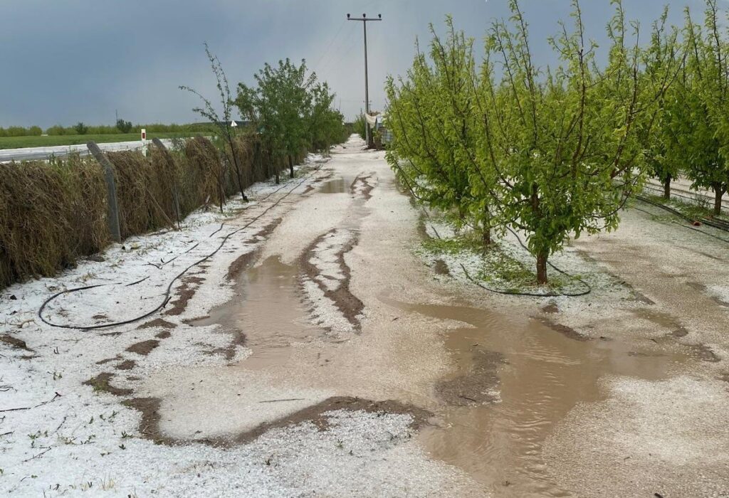 Les catastrophes naturelles et les dommages agricoles à Karaman