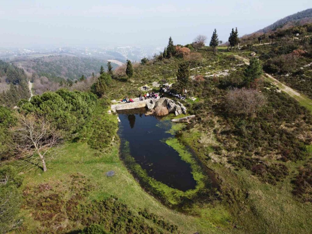 Vallée du Dragon Antique : Une Merveille Naturelle sur la Route de la Soie