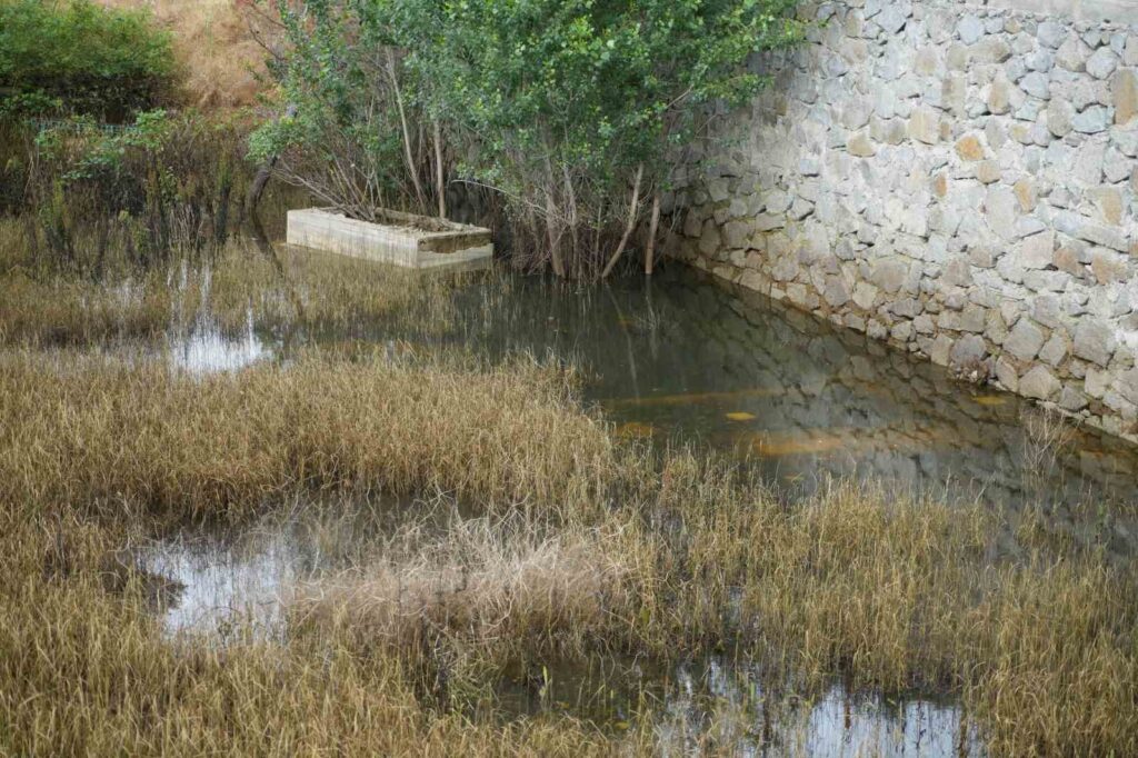 Chaque année, 50 cimetières inondés seront déplacés à Gümüşhane