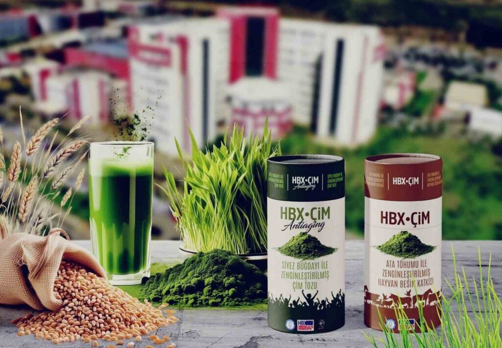 Il a été indiqué que l’herbe de blé fraîche retarde le vieillissement