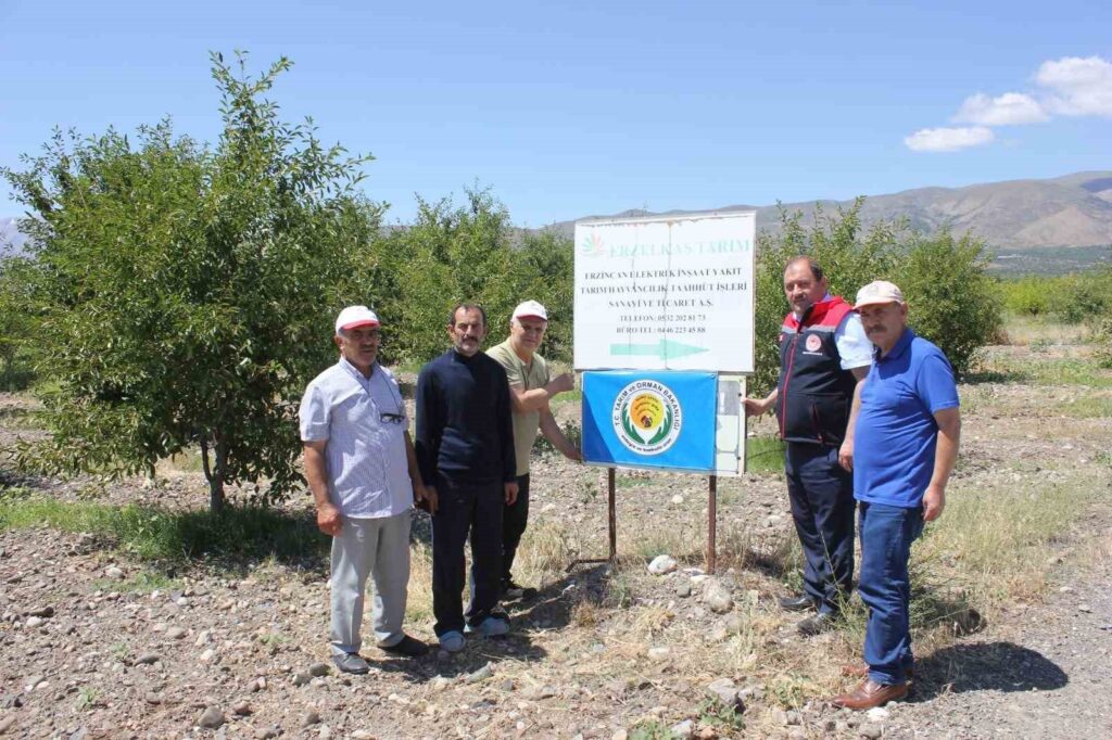 Erzincan, les drapeaux bleus dans les jardins.