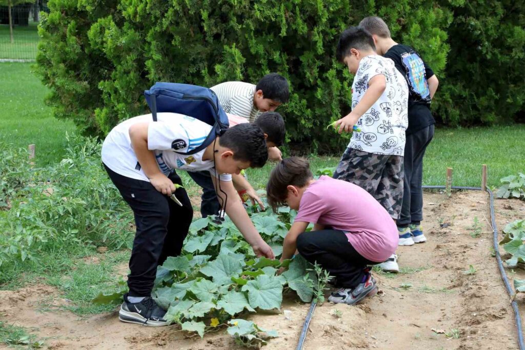 Les cours d’été de l’école de nature Karatay se poursuivent.