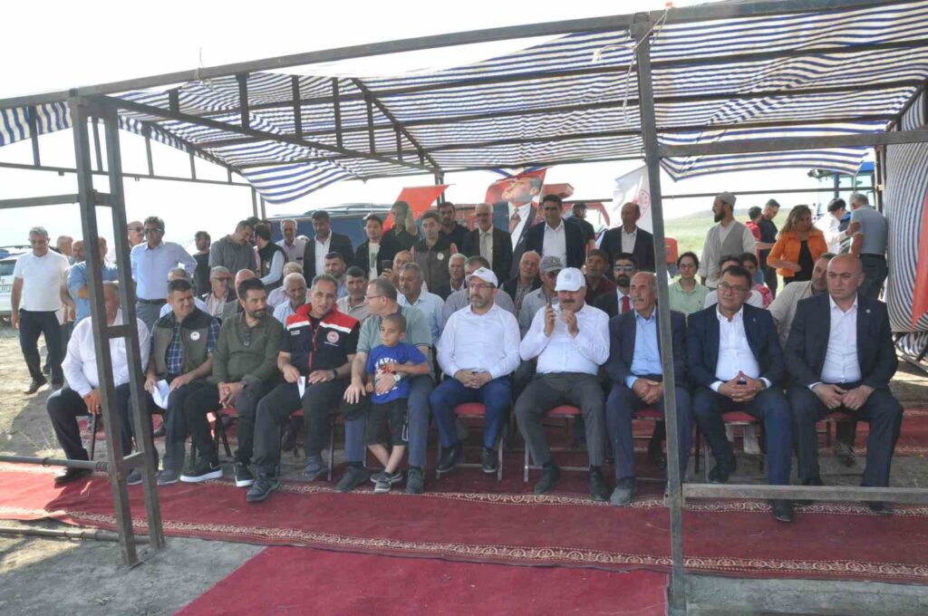 Les pâturages améliorés à Kars ont été intégrés à l’économie.