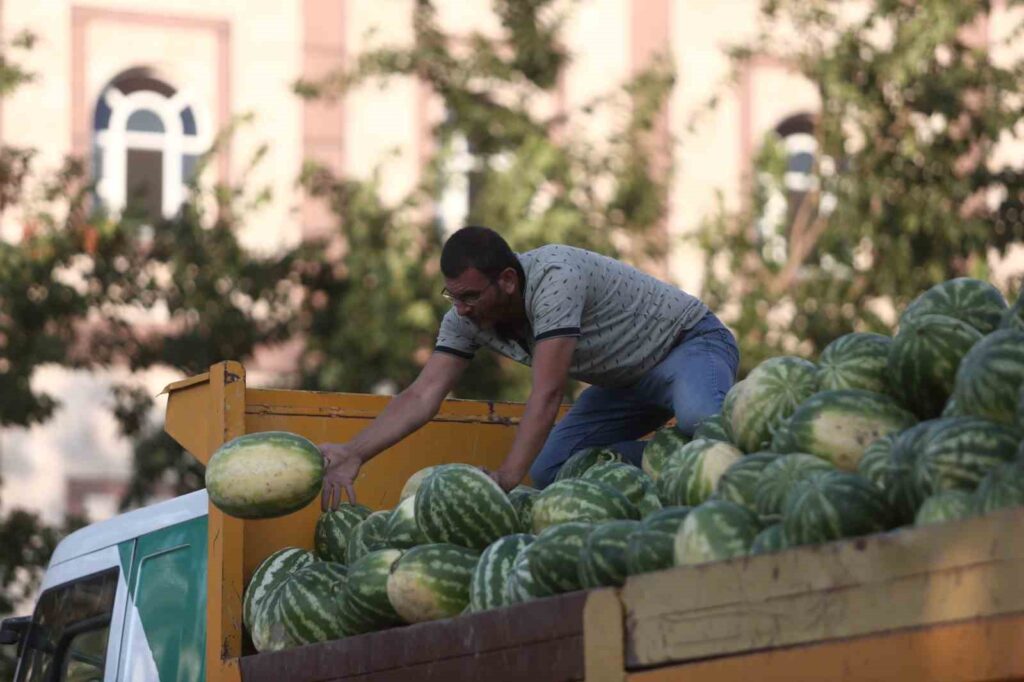 Les pastèques restantes sur le champ ont été distribuées gratuitement aux habitants de Bursa.