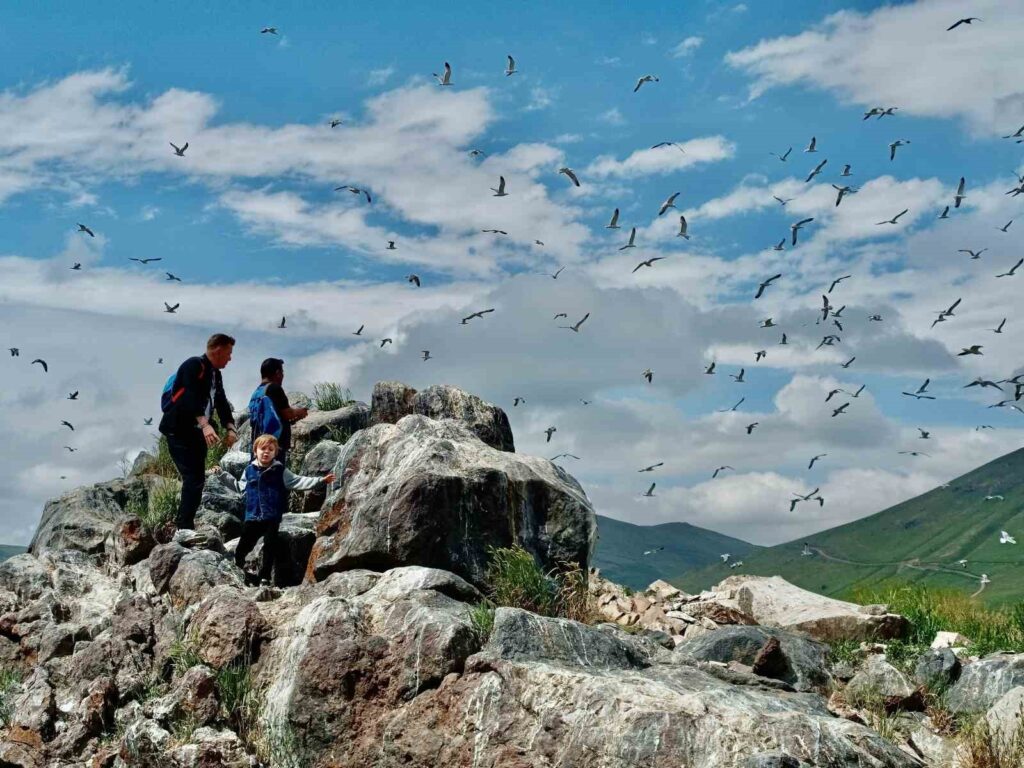 À une altitude de 2 241 mètres, des centaines d’oiseaux trouvent refuge.