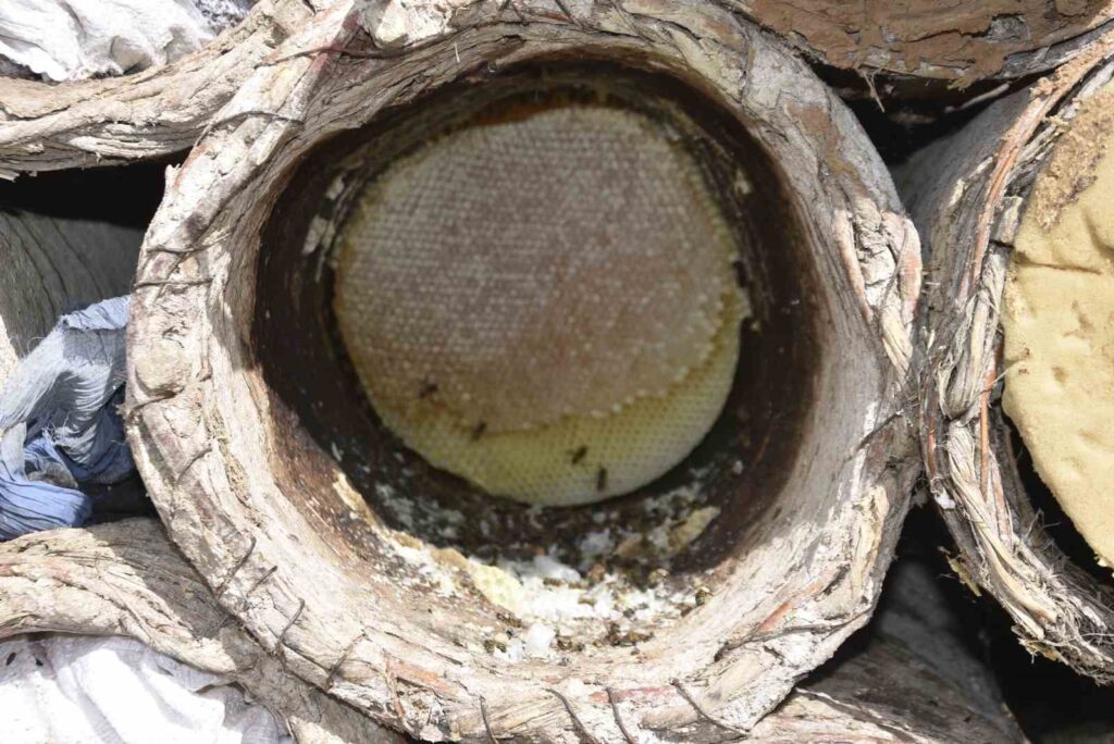 La récolte du miel de ruche en pot, mondialement célèbre, se poursuit à Bitlis.