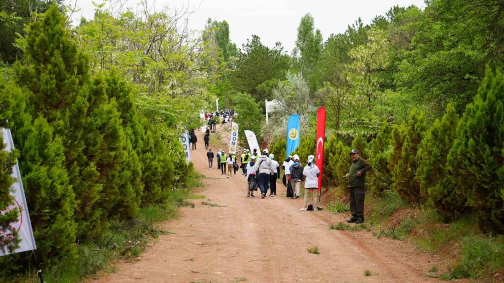 A Kırıkkale è stata creata consapevolezza sociale con la campagna ‘La Foresta è Mia’