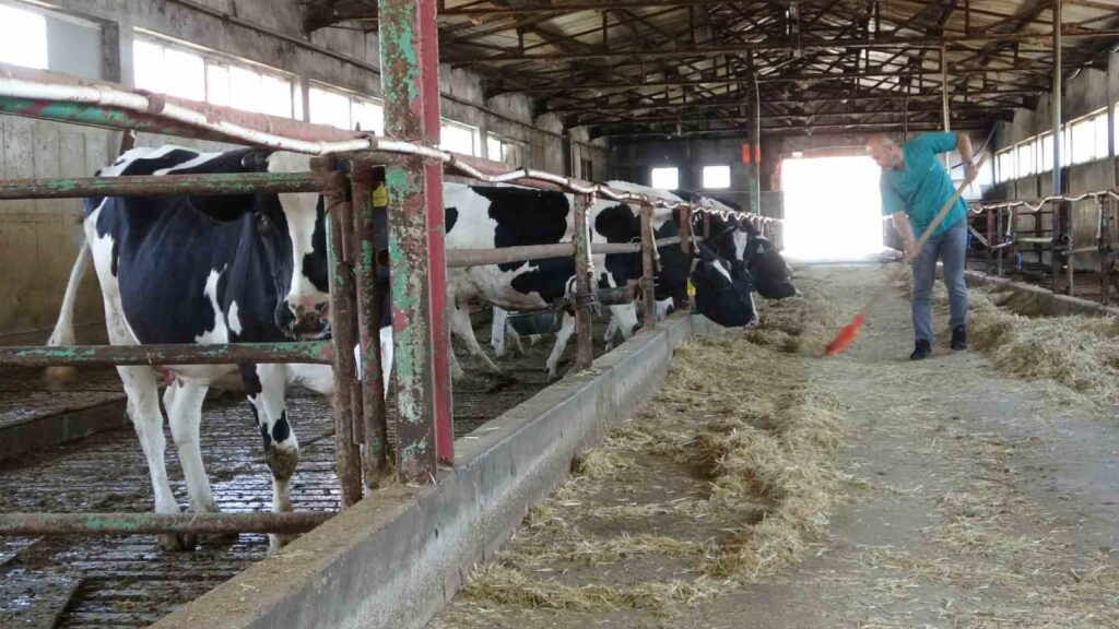 Fattoria della Facoltà di Medicina Veterinaria dell’Università di Selçuk