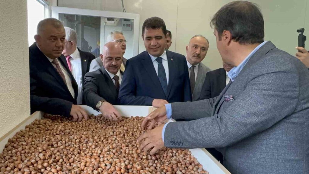 Trasformazione delle piccole imprese per i produttori di nocciole