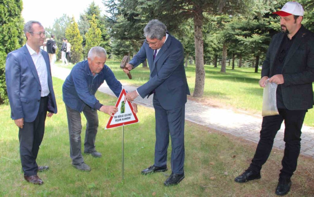 Università di Erciyes Attività di Alimentazione del Bestiame