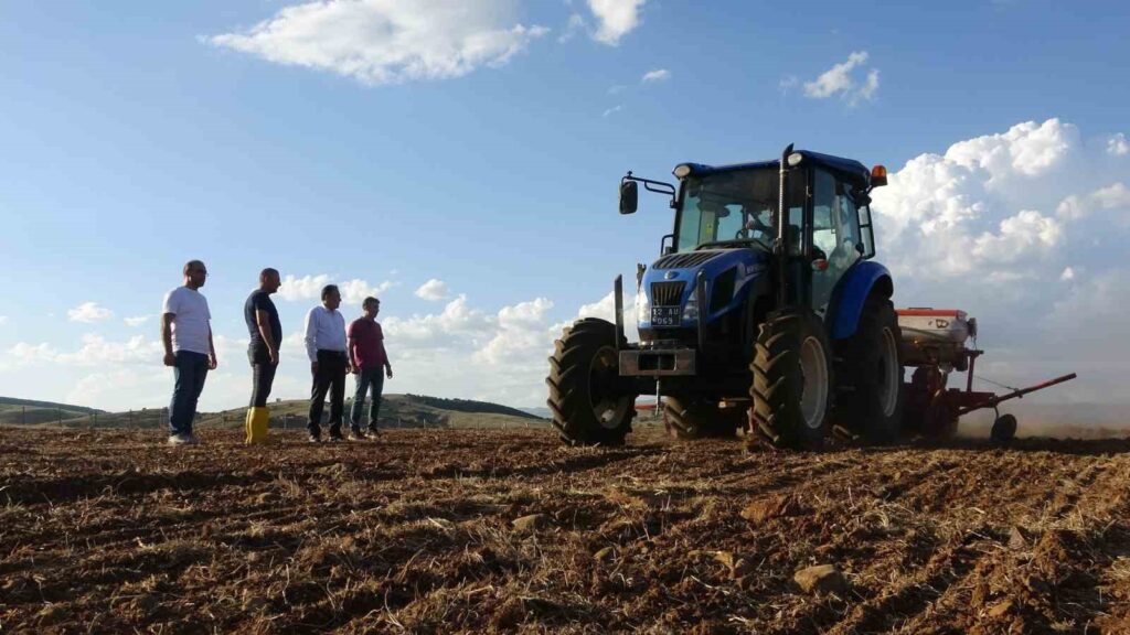 Coltivazione di fagioli secchi Yedisu Horoz presso il Centro di Applicazione e Ricerca Agricola dell’Università di Bingöl