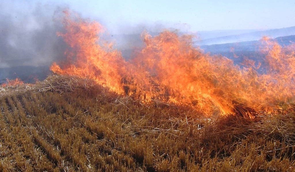 Attenzione agli incendi dei residui: avvertimenti dagli esperti