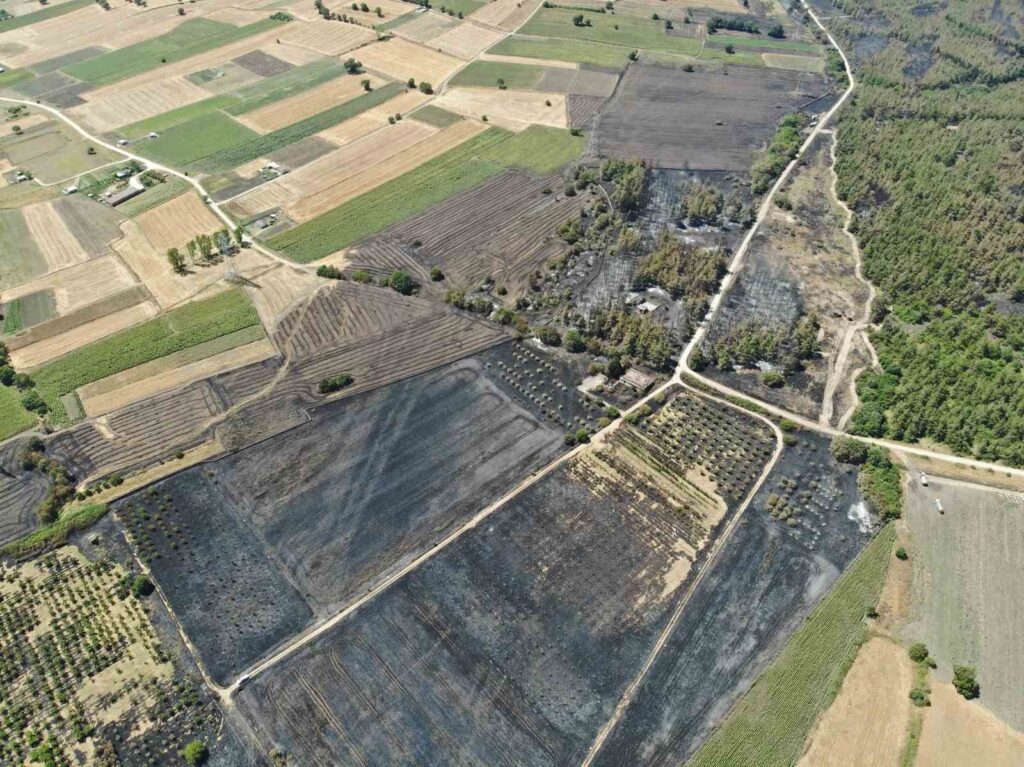 Il Comune Metropolitano di Bursa guida l’iniziativa di riforestazione dopo l’incendio forestale.