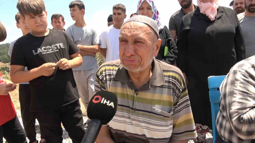 Massacro degli alberi a Bursa: Natura e contadini piangono