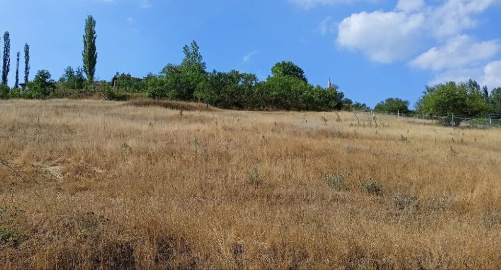 Nuovo progetto di sostegno all’agricoltura del Comune metropolitano di Bursa