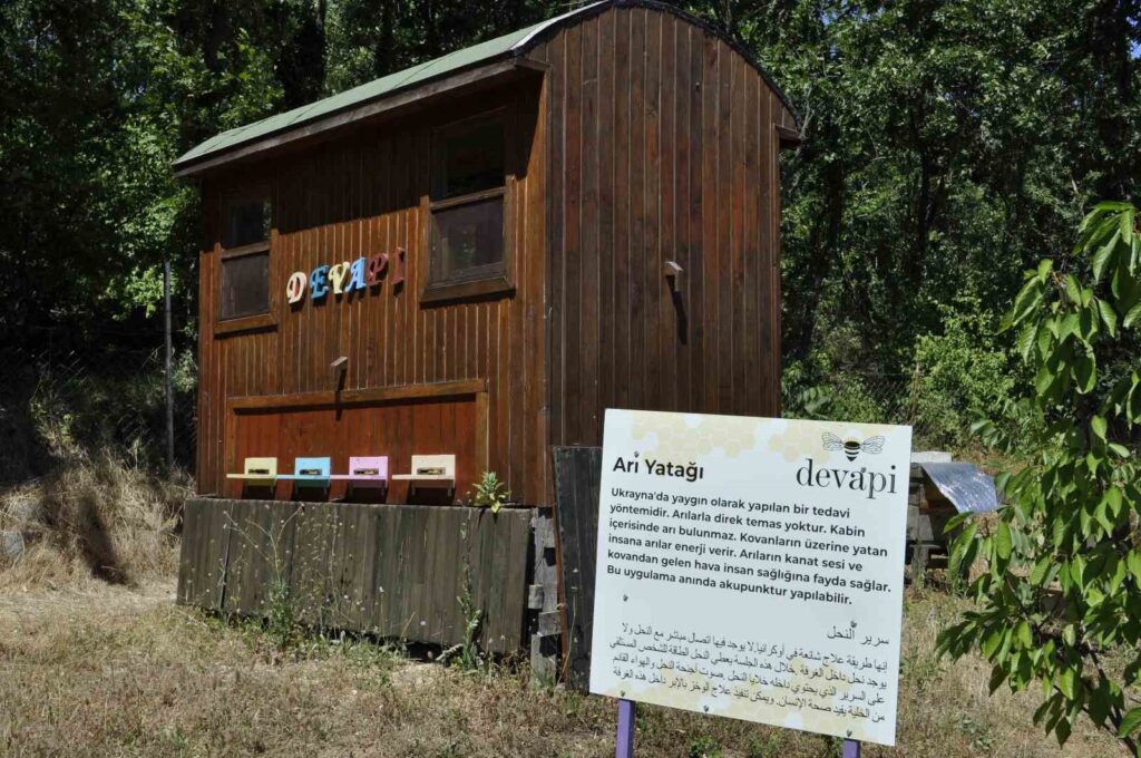 Terapia del Letto d’Api a Bursa: La Cura della Natura.