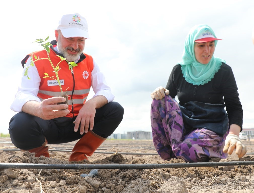 Progetto agricolo di supporto alle produttrici donne del Comune di Kocasinan