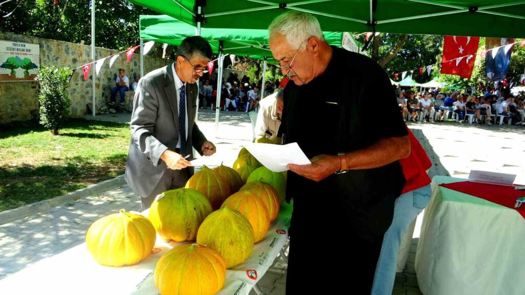 Il Festival di Yayla di Karabağlar è stato celebrato con entusiasmo nel 2023.