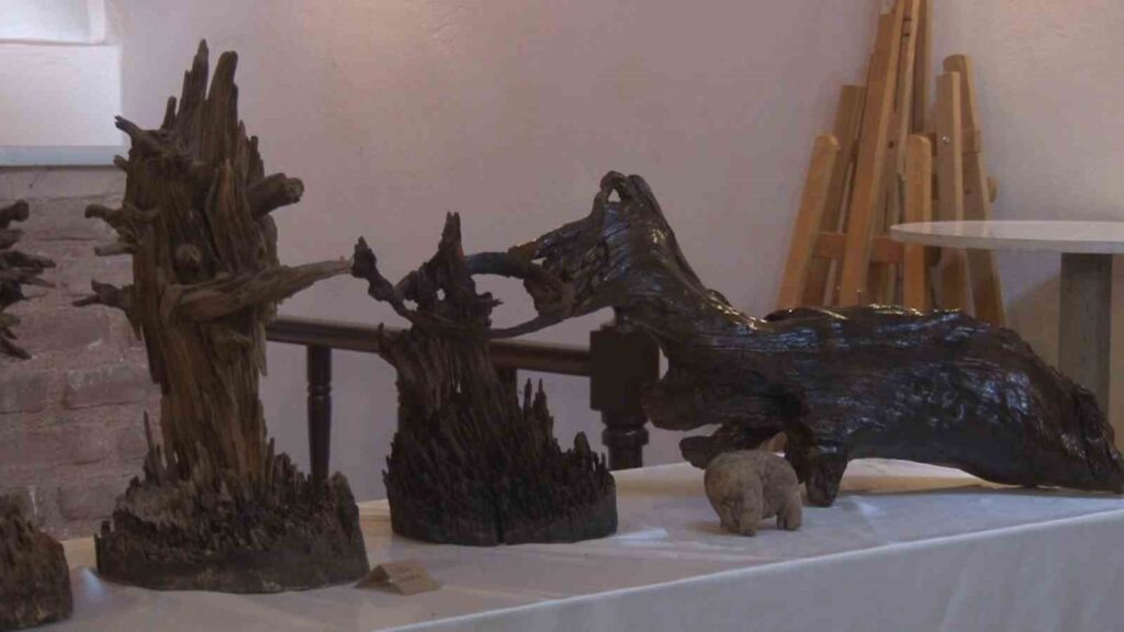 La mostra di figure naturali di Tansel Saylı a Bursa